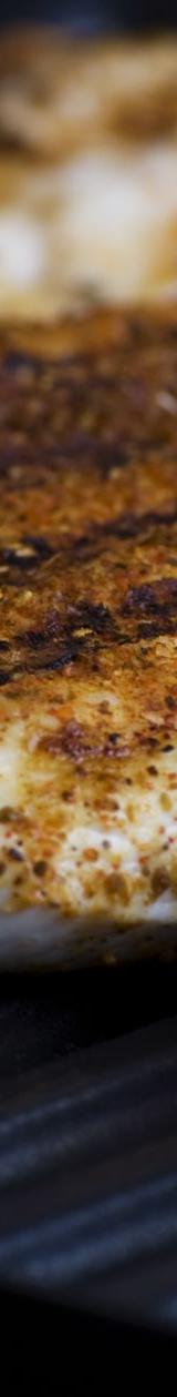Mojo Chicken & Tomatoes — Cuban Grilled