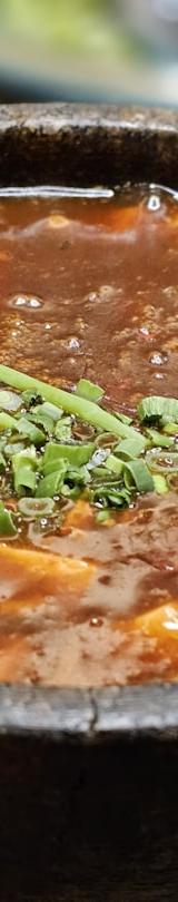 Mole de Olla con Res