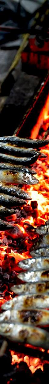 Moroccan Grilled Sardines