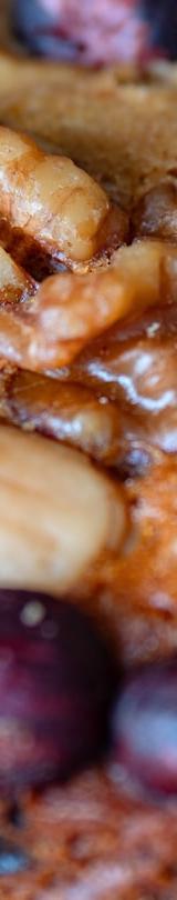 New Orleans King Cake