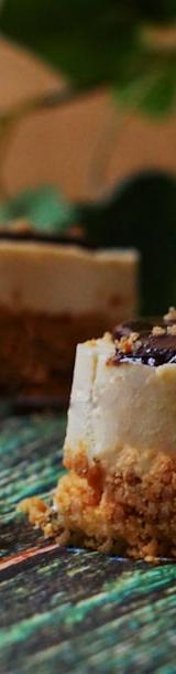 No-Bake Cheesecake Bites