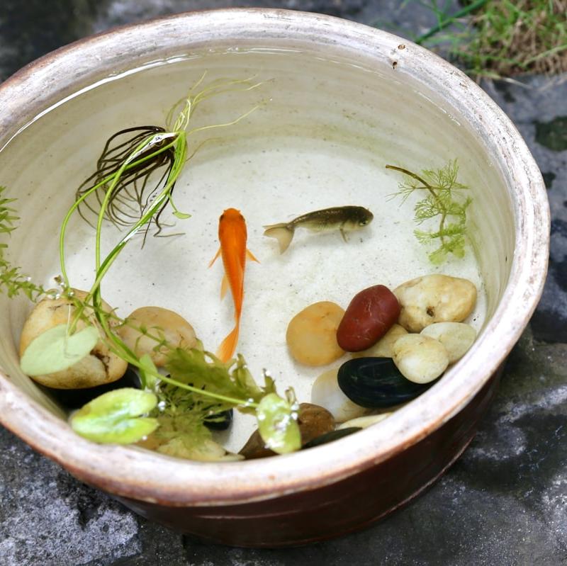 Normandy Fish Stew