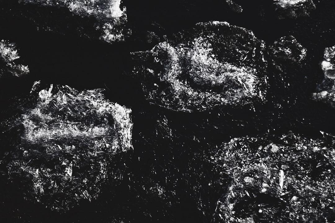 Pan-Fried Black Pudding