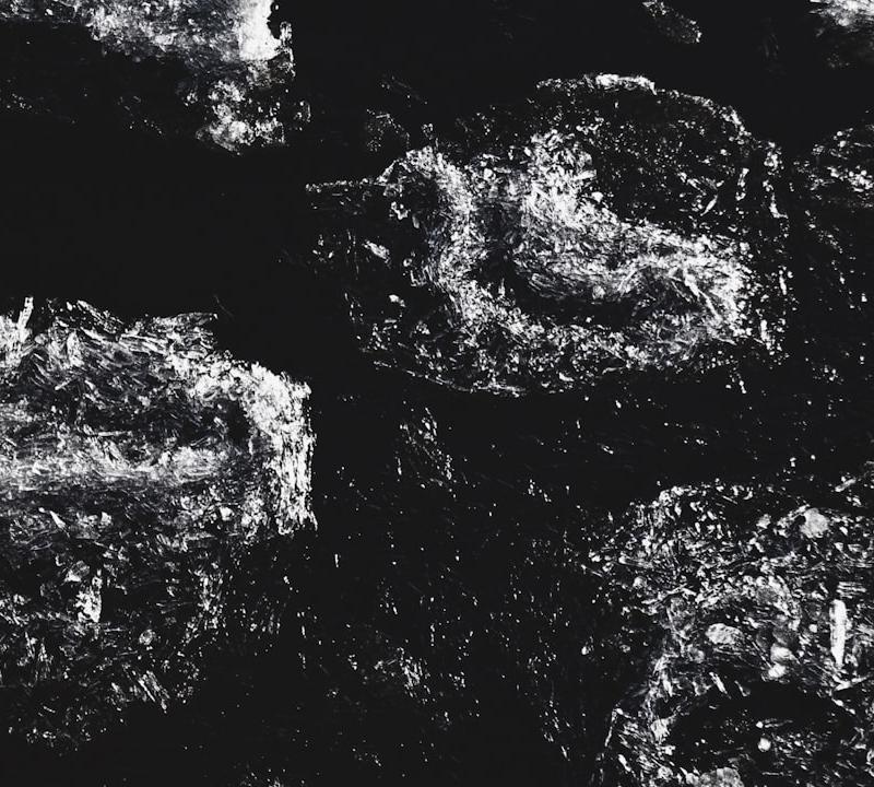 Pan-Fried Black Pudding