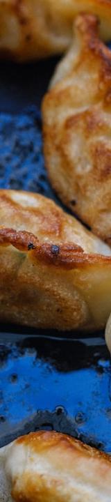 Pan-Fried Chicken Dumplings
