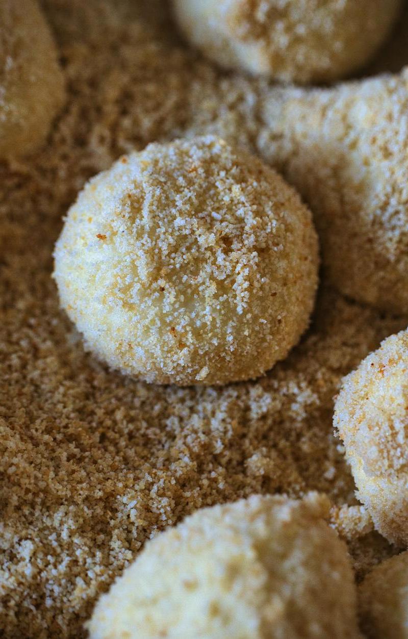 Pan-Fried Plum Dumplings