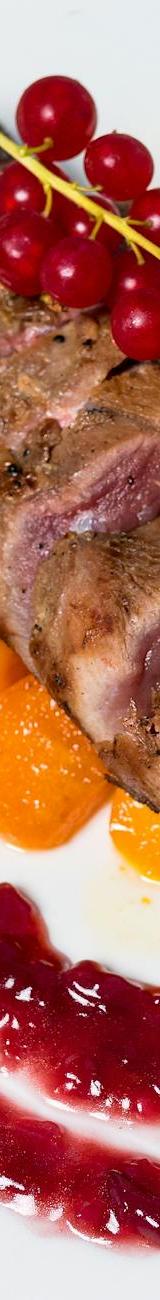 Pan-Seared Duck with Cranberry & Roasted Squash