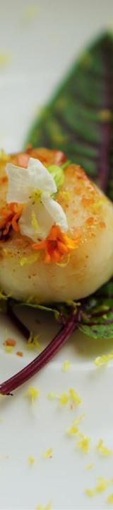 Pan-Seared Scallops with Brown Butter & Sorrel