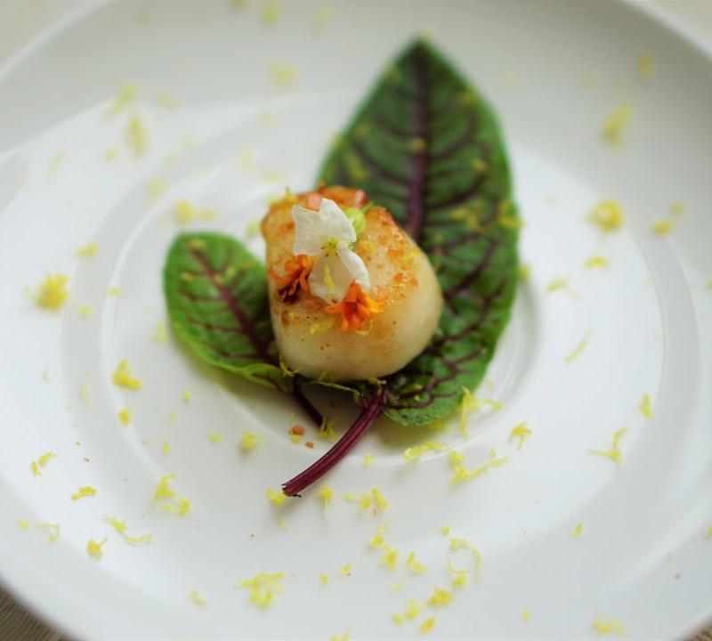 Pan-Seared Scallops with Brown Butter & Sorrel