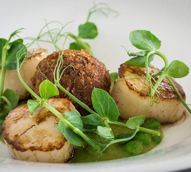 Pan-Seared Scallops with Pea Purée & Croquettes