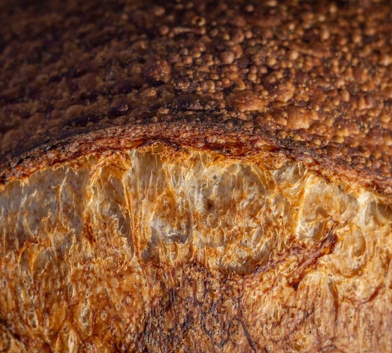 Pane di Altamura