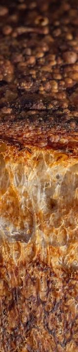 Pane di Altamura