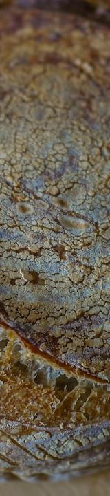 Pane di Altamura