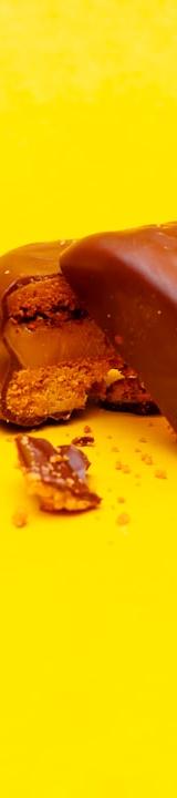Peanut Butter Pretzel Bites