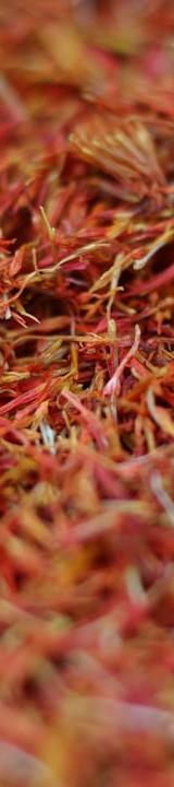 Persian Jeweled Rice