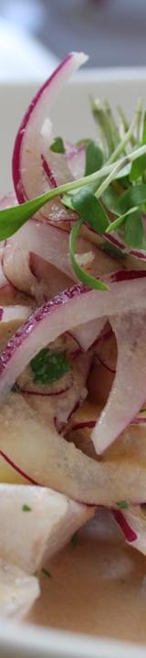 Peruvian Ceviche