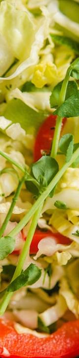 Crack Slaw: Polish Cabbage That Slaps