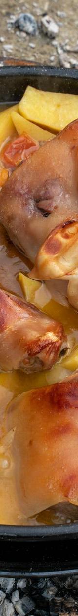 Pollo Al Disco