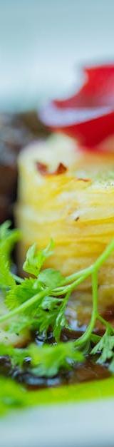 15-Min Potato Gratin with Cream & Cheese