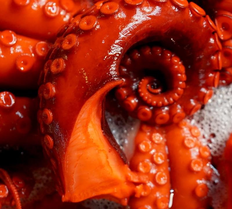 Pulpo a la Gallega
