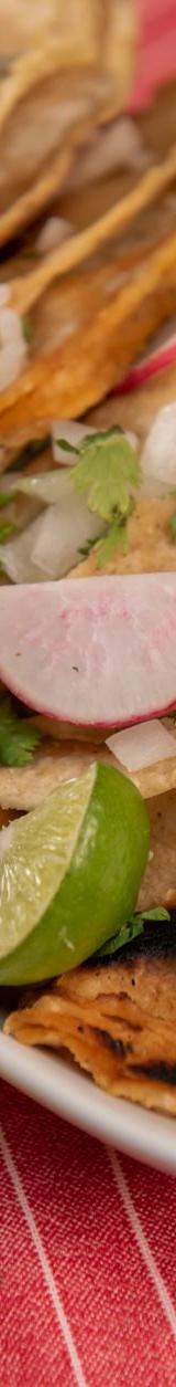 Quesabirria with Crispy Tortillas