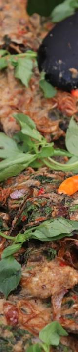 Quick Beef Rendang Padang