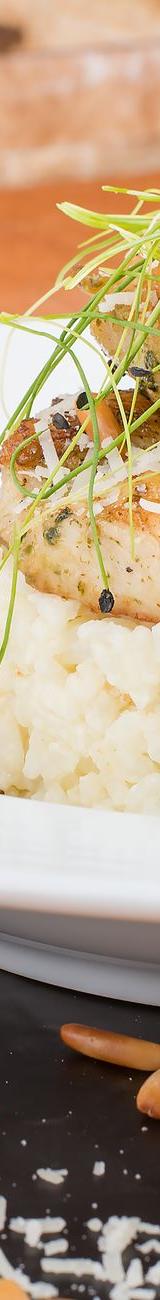 Spiced Chicken & Rice — Riz Bil Djaj