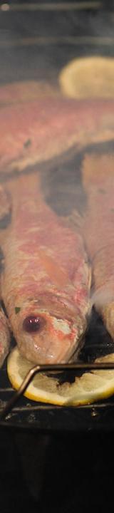 Roasted Branzino with Lemon and Herbs