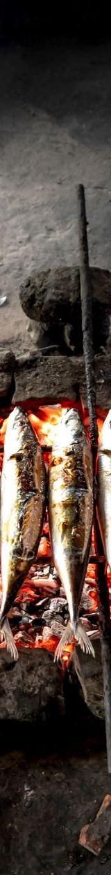 Sardinhas Assadas
