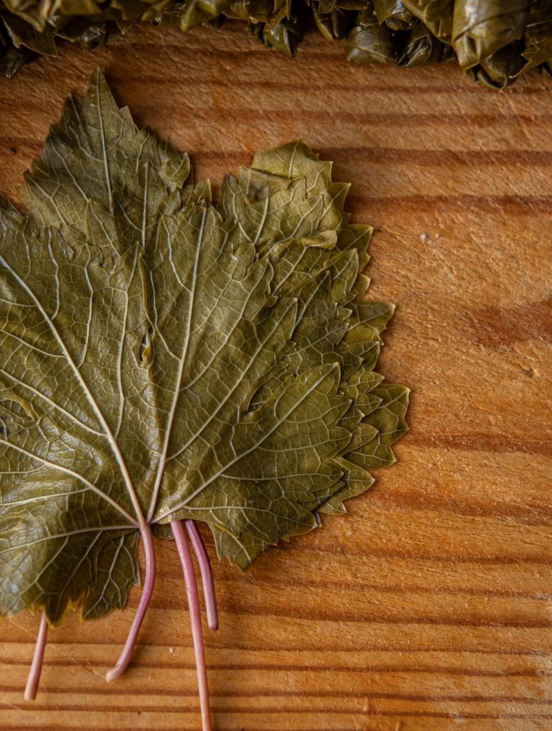 20-Min Sarma — Balkan Cabbage Rolls