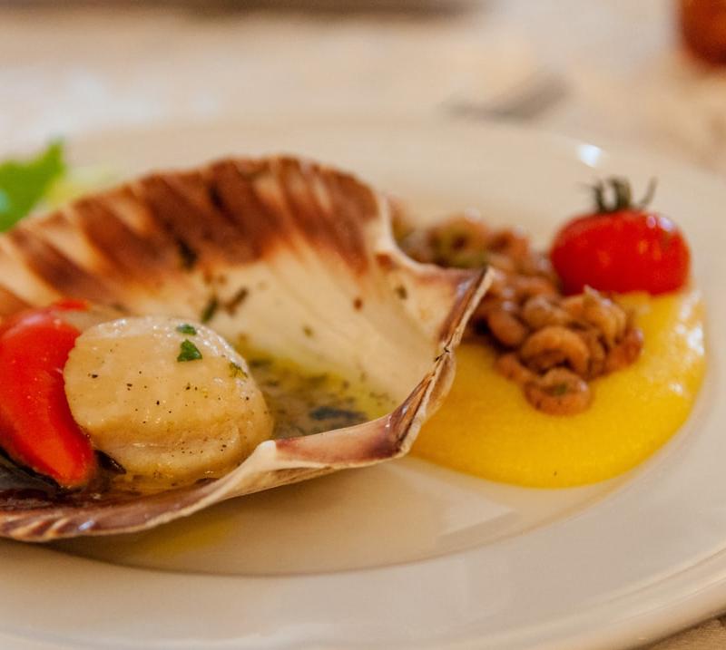 Seared Scallops with Polenta, Shrimp & Tomato