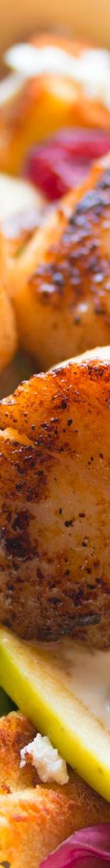 Seared Scallops with Warm Salad
