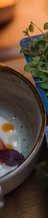 German Eggs in Mustard Cream Sauce