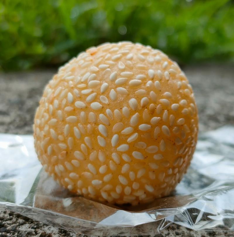 Sesame Balls with Red Bean Filling
