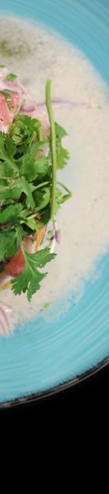 Syrian Lamb in Yogurt Sauce