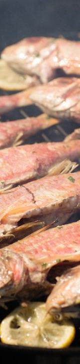 Sheet-Pan Branzino with Lemon & Herbs
