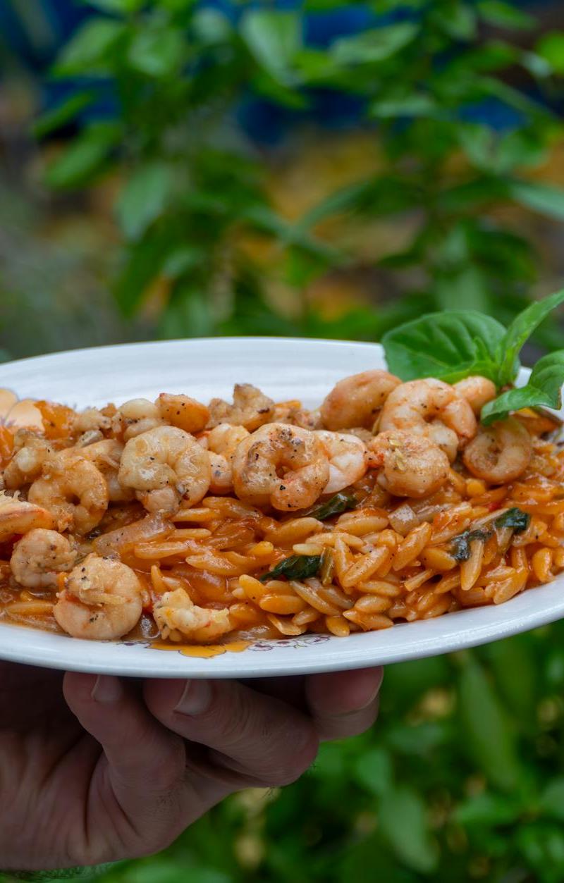 20-Min Shrimp Youvetsi with Orzo