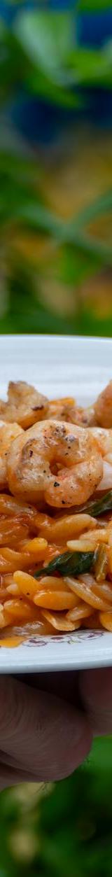 20-Min Shrimp Youvetsi with Orzo