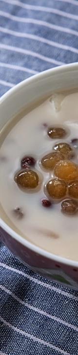 Silky Tofu Pudding with Tapioca & Syrup