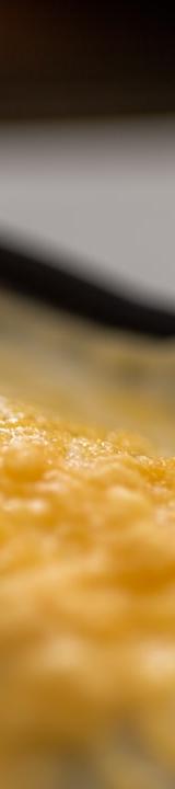 Sour Cream Chicken Enchiladas