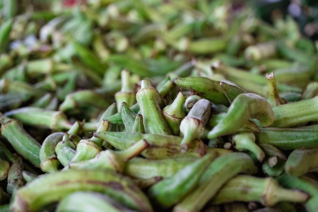 Southern Fried Okra