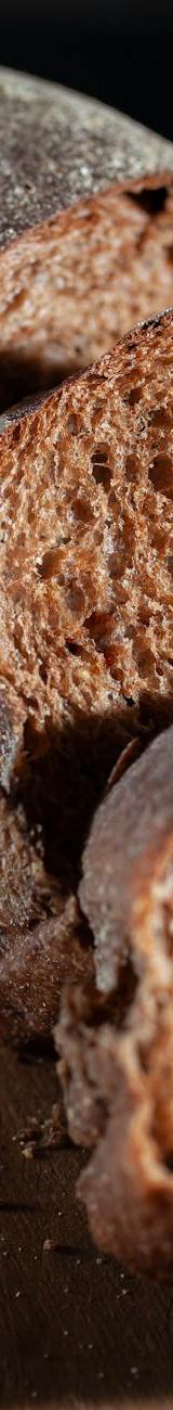 Speedy Rugbrød – Dark Rye Bread