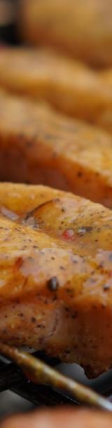 Spiced Charred Chicken Brochettes