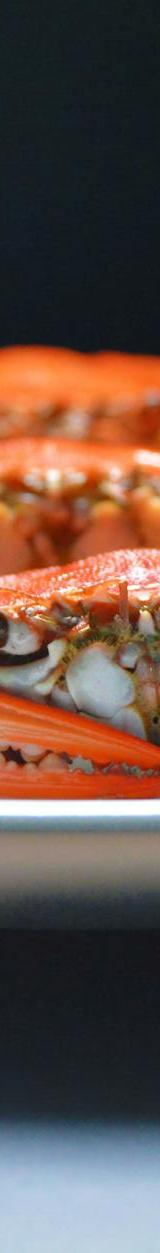 Steamed Crab Legs