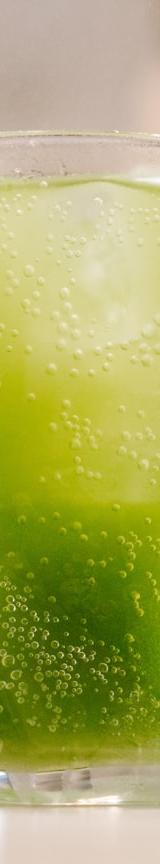 Fresh Sugarcane Juice with Lime & Ice