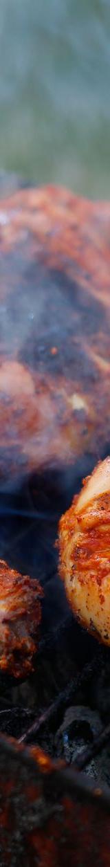 Sumac Grilled Chicken