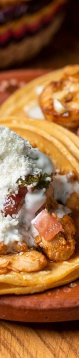 Mexican Shrimp and Cheese Tacos