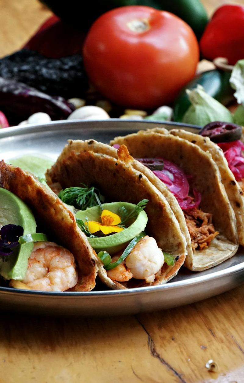 Taco Placero