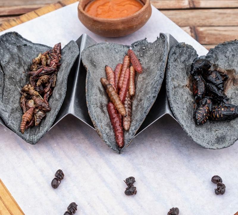 Tacos de Chapulines