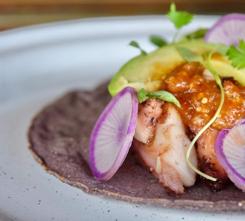 Tacos de Pulpo